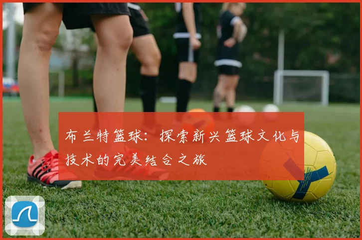 布兰特篮球：探索新兴篮球文化与技术的完美结合之旅