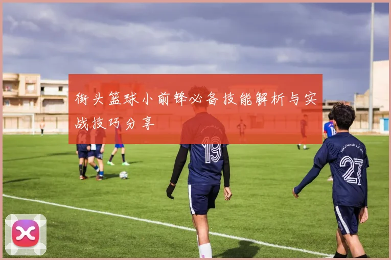 街头篮球小前锋必备技能解析与实战技巧分享