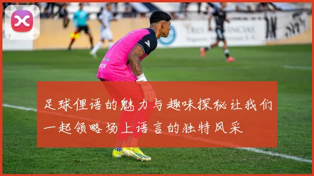 足球俚语的魅力与趣味探秘让我们一起领略场上语言的独特风采
