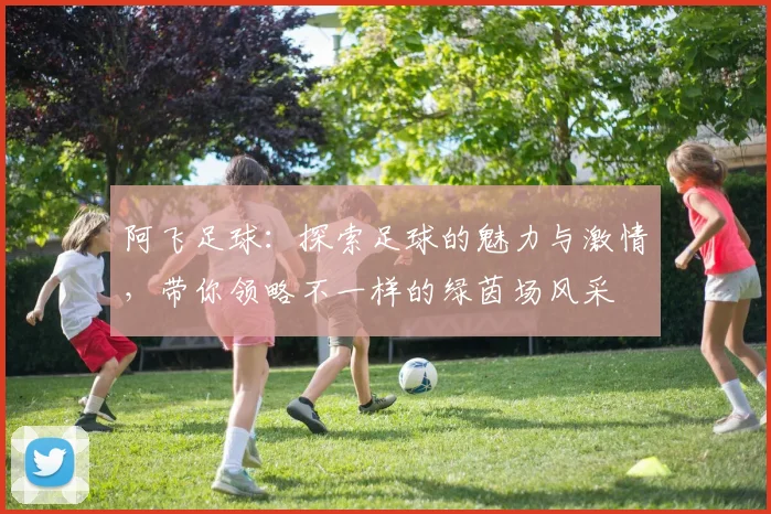 阿飞足球：探索足球的魅力与激情，带你领略不一样的绿茵场风采