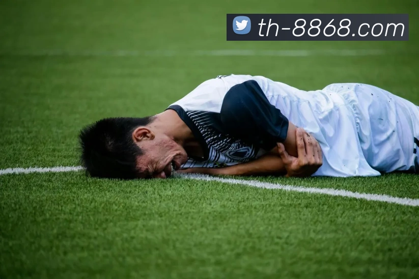 8868体育全站App